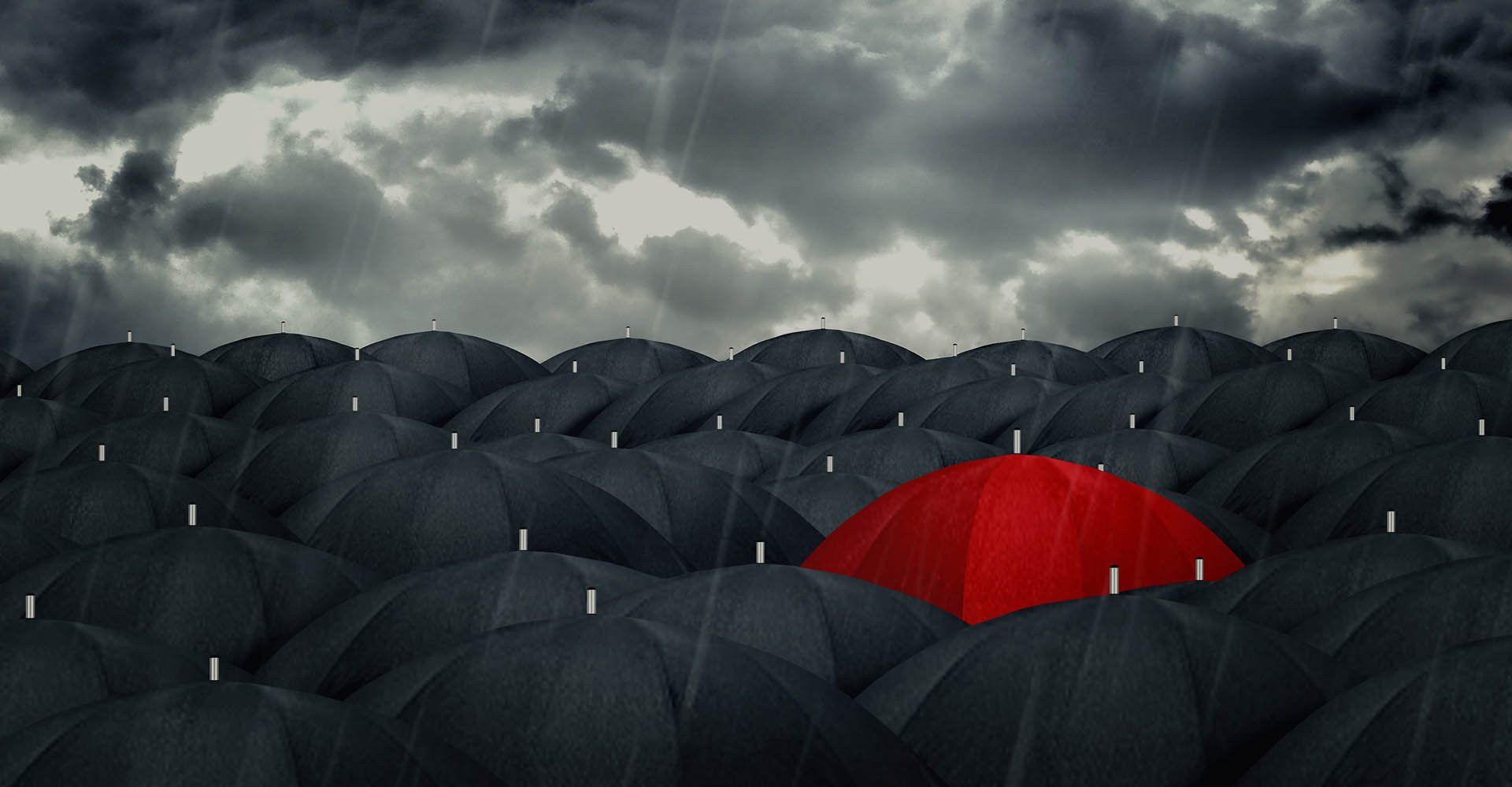 Welcome To Our New Website